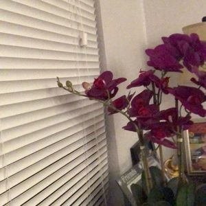 Meet your Posher, Maricelia